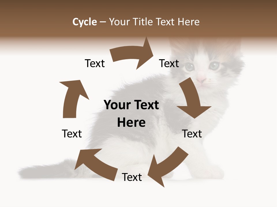 Shorthair Loving Sadness PowerPoint Template