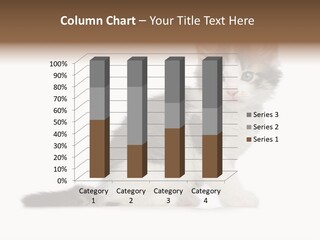 Shorthair Loving Sadness PowerPoint Template