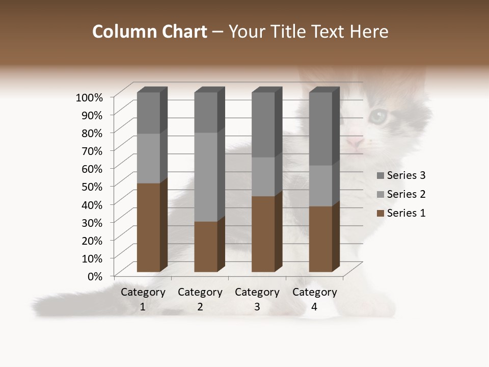 Shorthair Loving Sadness PowerPoint Template