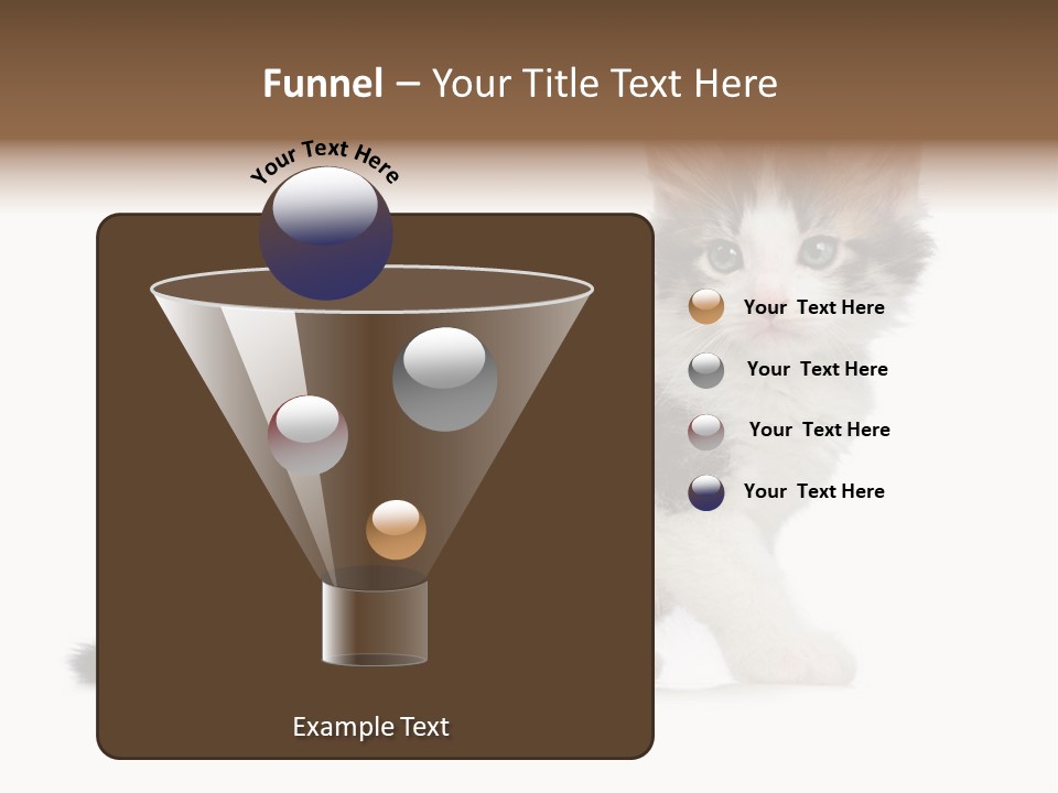 Shorthair Loving Sadness PowerPoint Template