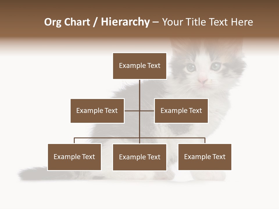 Shorthair Loving Sadness PowerPoint Template