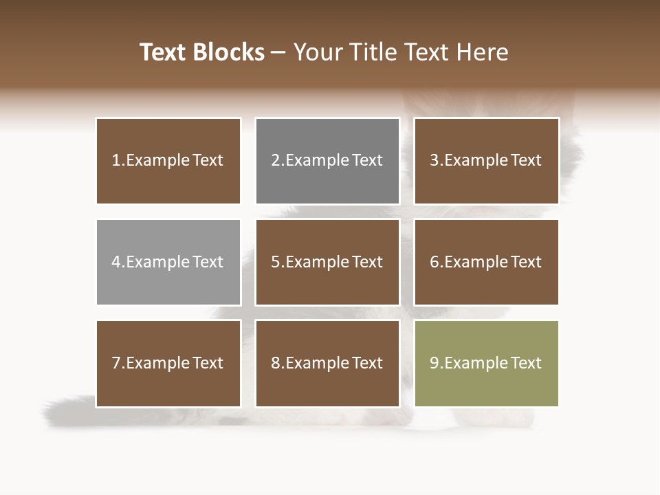 Shorthair Loving Sadness PowerPoint Template