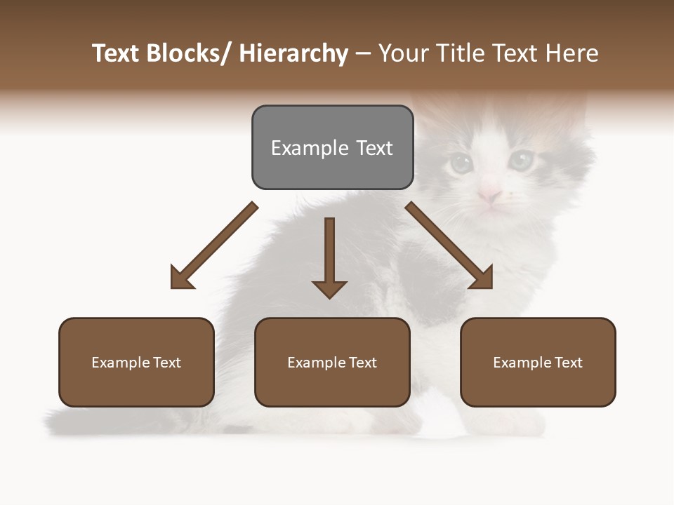 Shorthair Loving Sadness PowerPoint Template