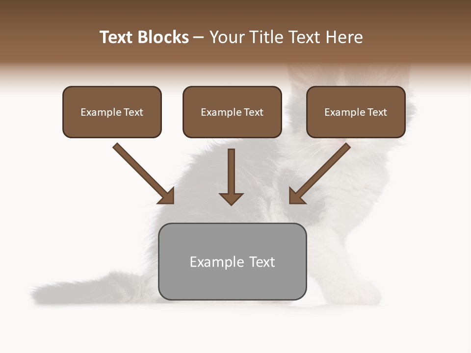 Shorthair Loving Sadness PowerPoint Template