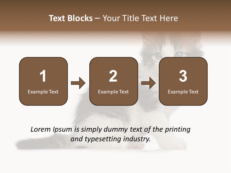 Shorthair Loving Sadness PowerPoint Template