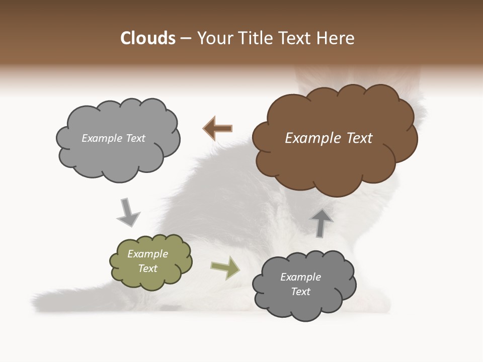 Shorthair Loving Sadness PowerPoint Template