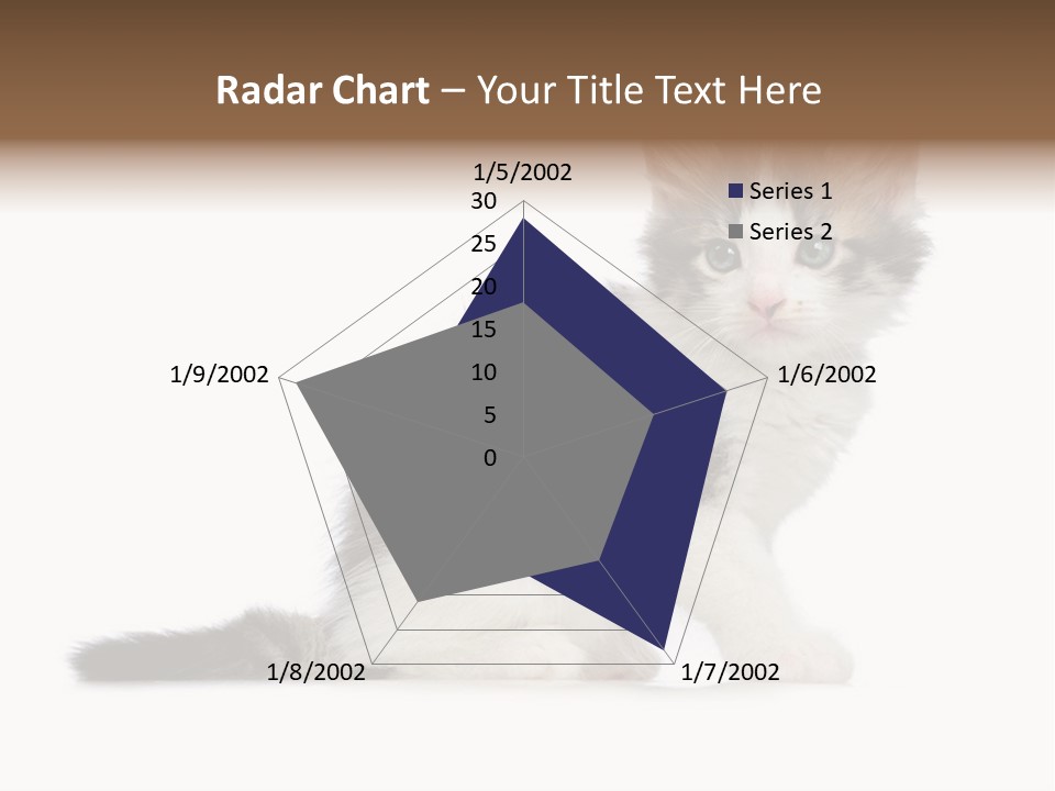 Shorthair Loving Sadness PowerPoint Template