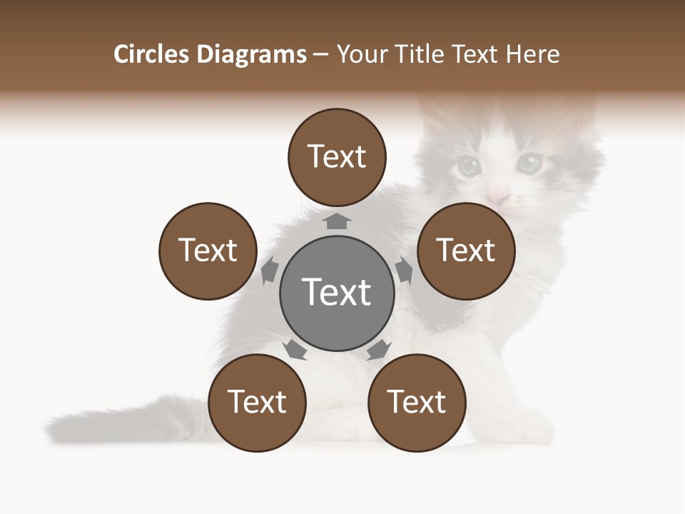 Shorthair Loving Sadness PowerPoint Template