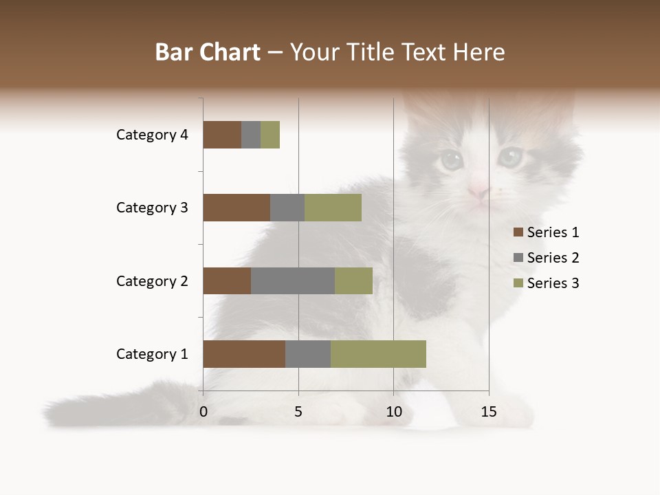 Shorthair Loving Sadness PowerPoint Template