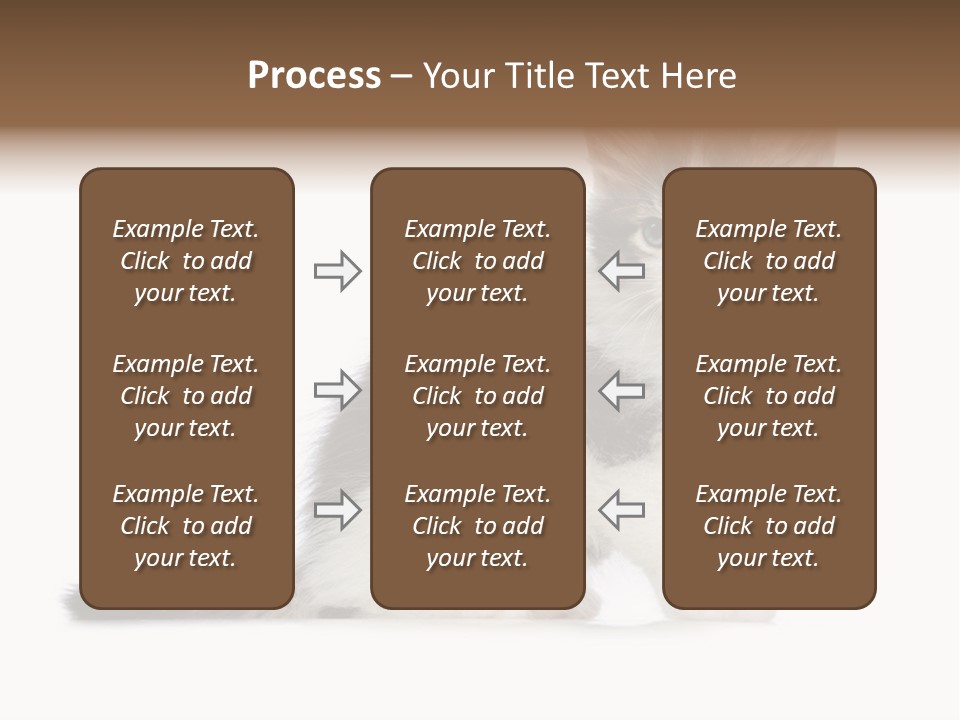 Shorthair Loving Sadness PowerPoint Template