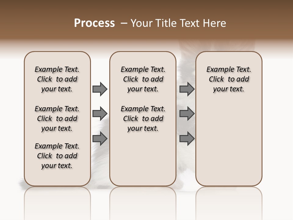 Shorthair Loving Sadness PowerPoint Template