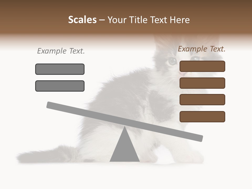 Shorthair Loving Sadness PowerPoint Template