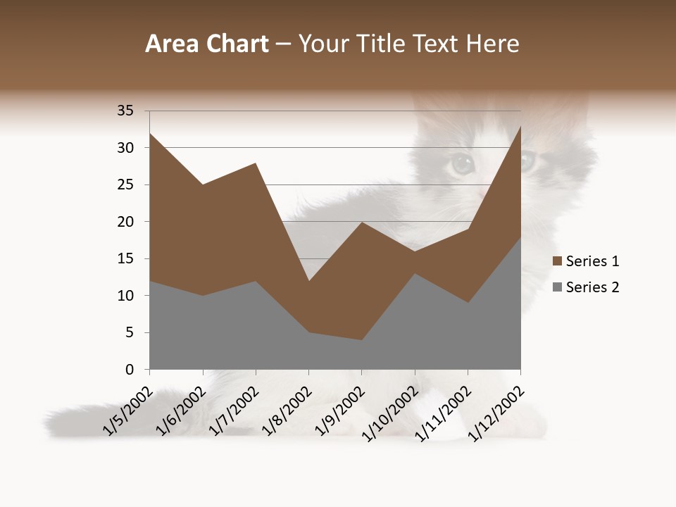 Shorthair Loving Sadness PowerPoint Template