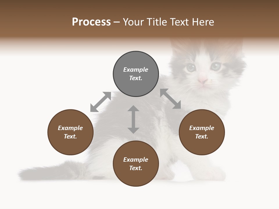 Shorthair Loving Sadness PowerPoint Template