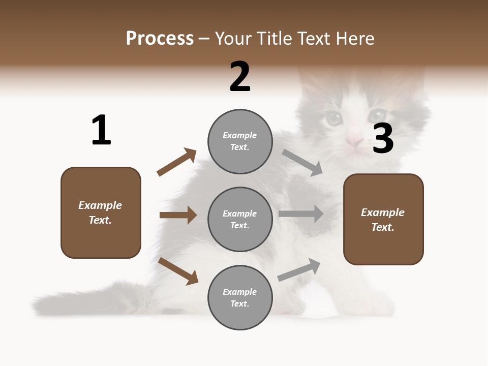 Shorthair Loving Sadness PowerPoint Template