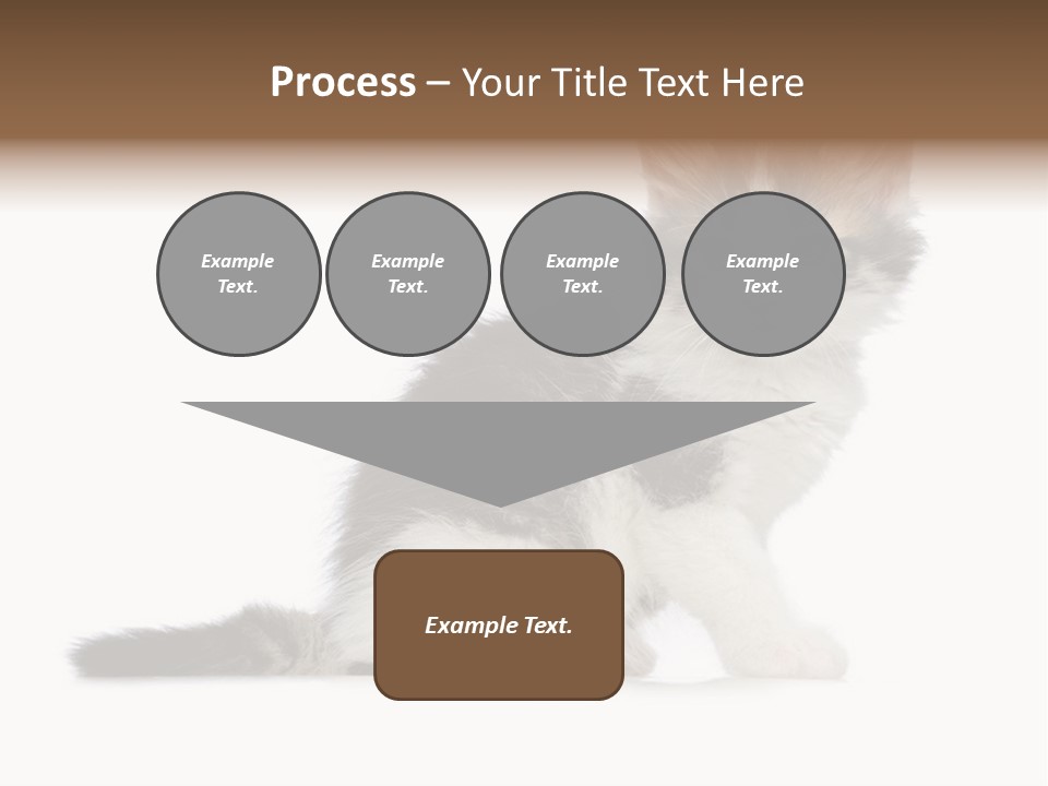 Shorthair Loving Sadness PowerPoint Template