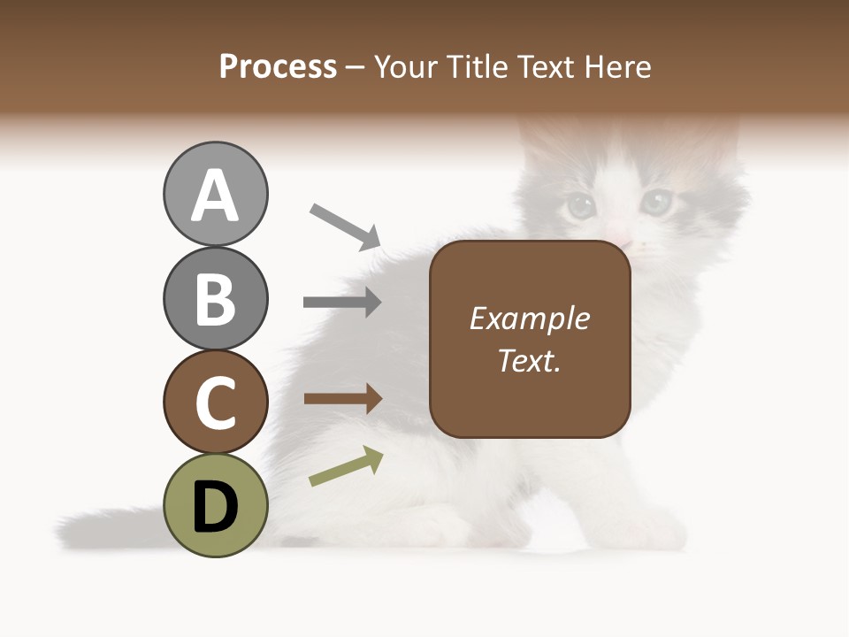 Shorthair Loving Sadness PowerPoint Template