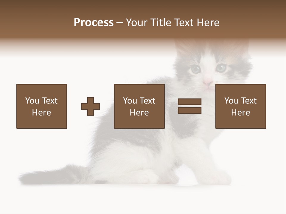 Shorthair Loving Sadness PowerPoint Template