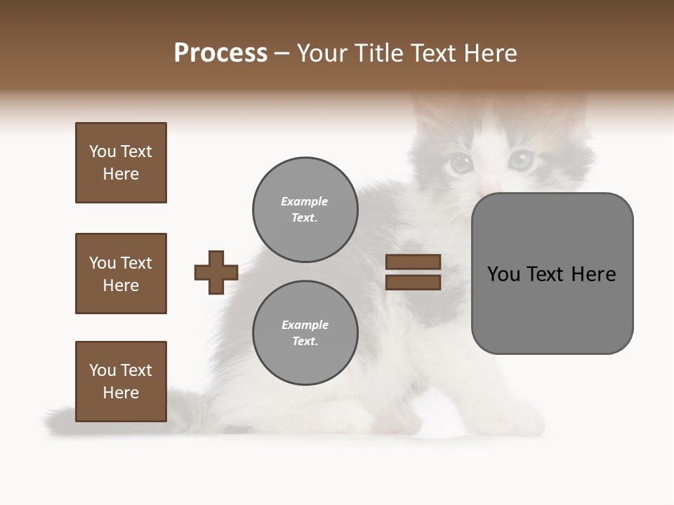 Shorthair Loving Sadness PowerPoint Template