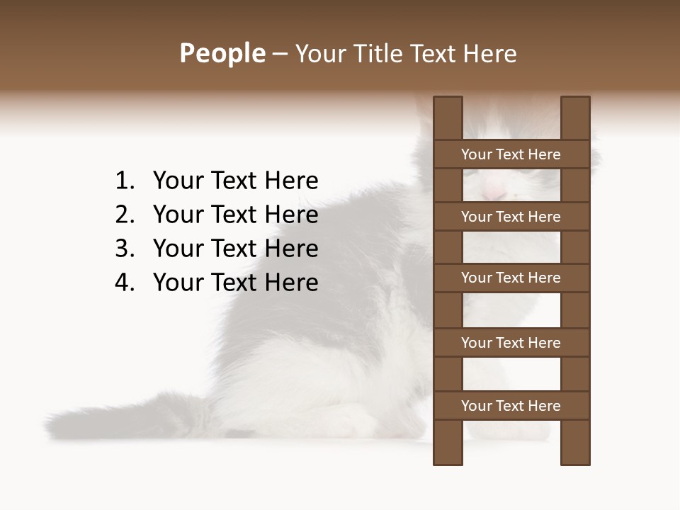 Shorthair Loving Sadness PowerPoint Template