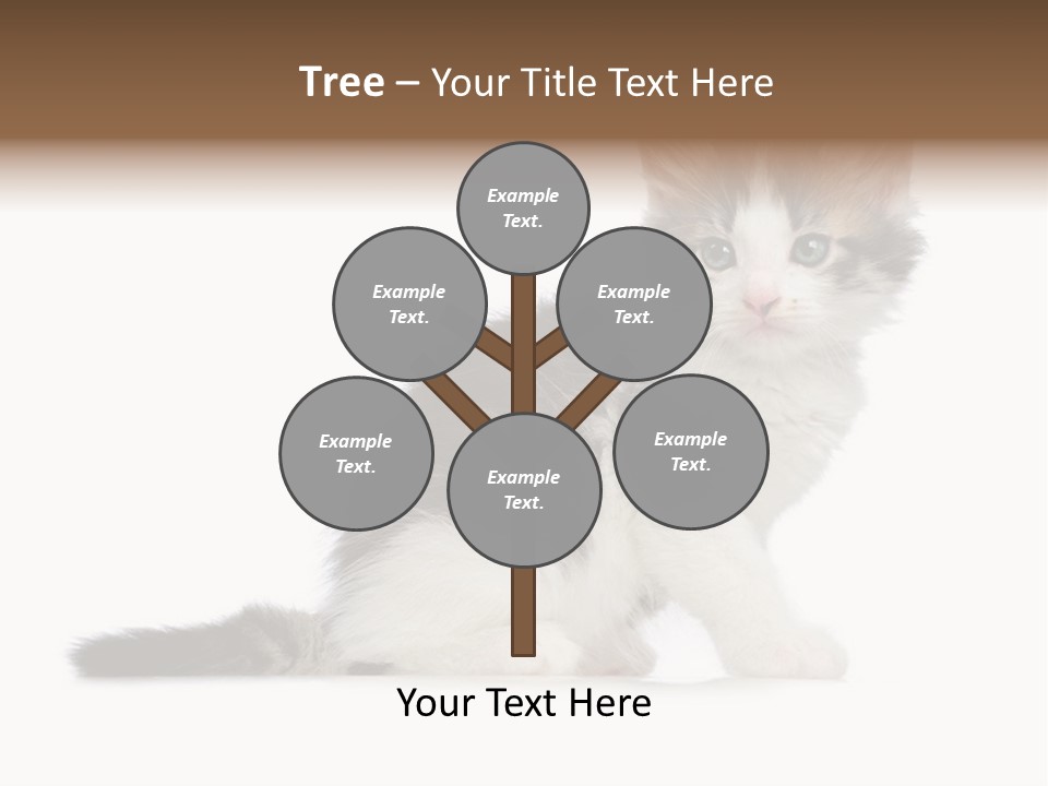 Shorthair Loving Sadness PowerPoint Template