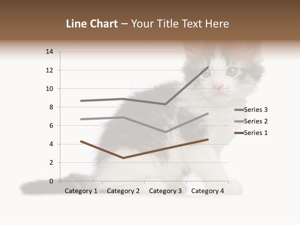 Shorthair Loving Sadness PowerPoint Template