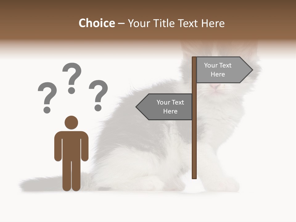 Shorthair Loving Sadness PowerPoint Template