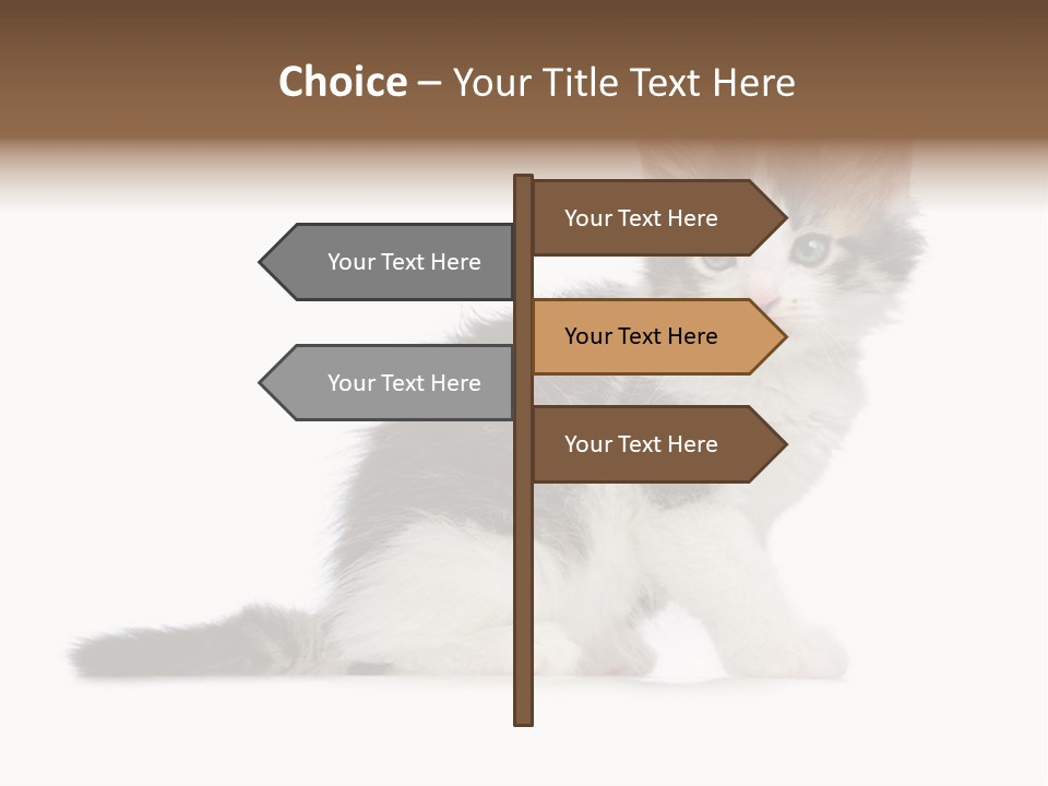 Shorthair Loving Sadness PowerPoint Template
