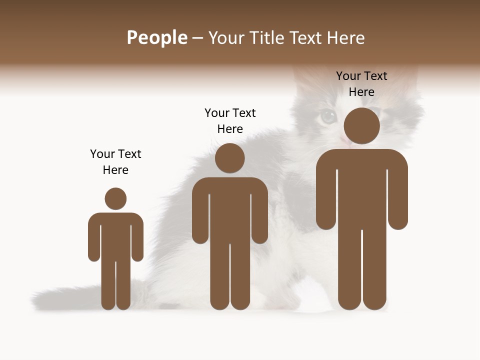 Shorthair Loving Sadness PowerPoint Template