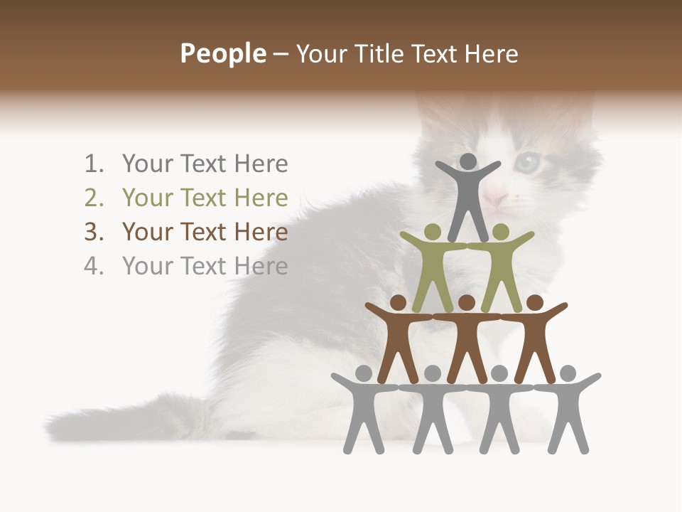 Shorthair Loving Sadness PowerPoint Template