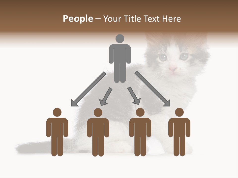 Shorthair Loving Sadness PowerPoint Template