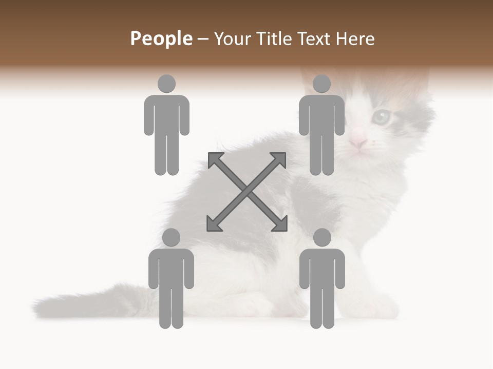 Shorthair Loving Sadness PowerPoint Template