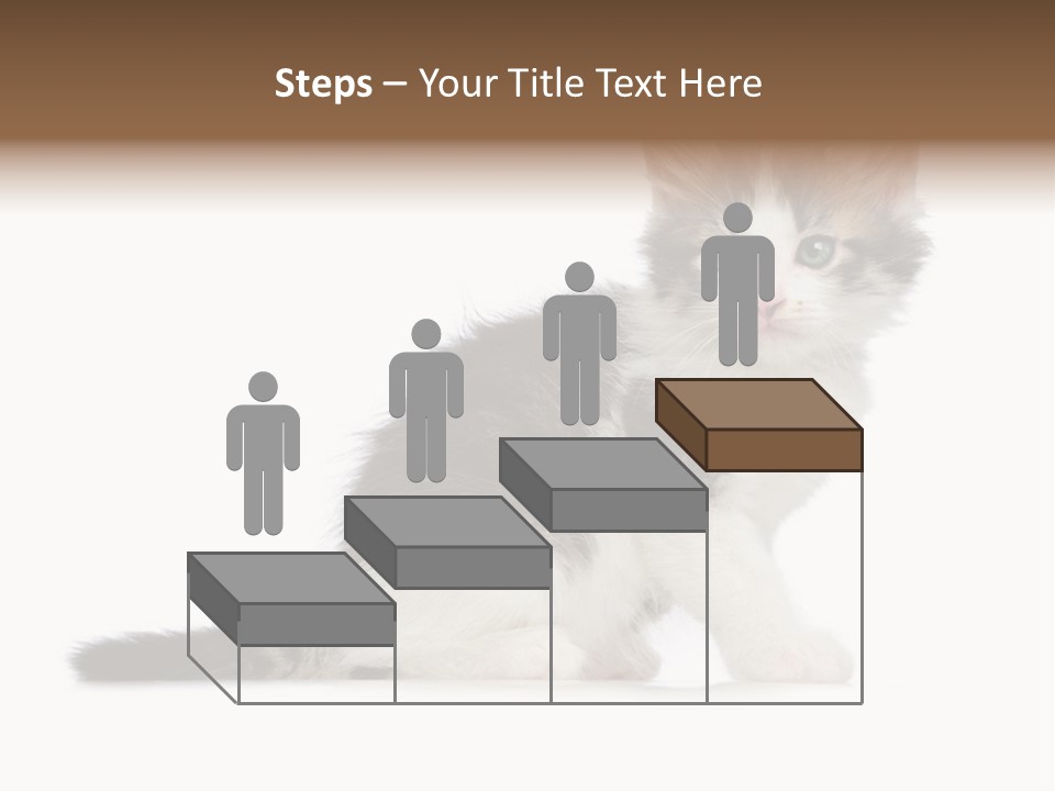 Shorthair Loving Sadness PowerPoint Template