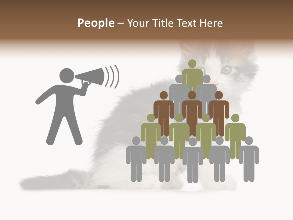 Shorthair Loving Sadness PowerPoint Template