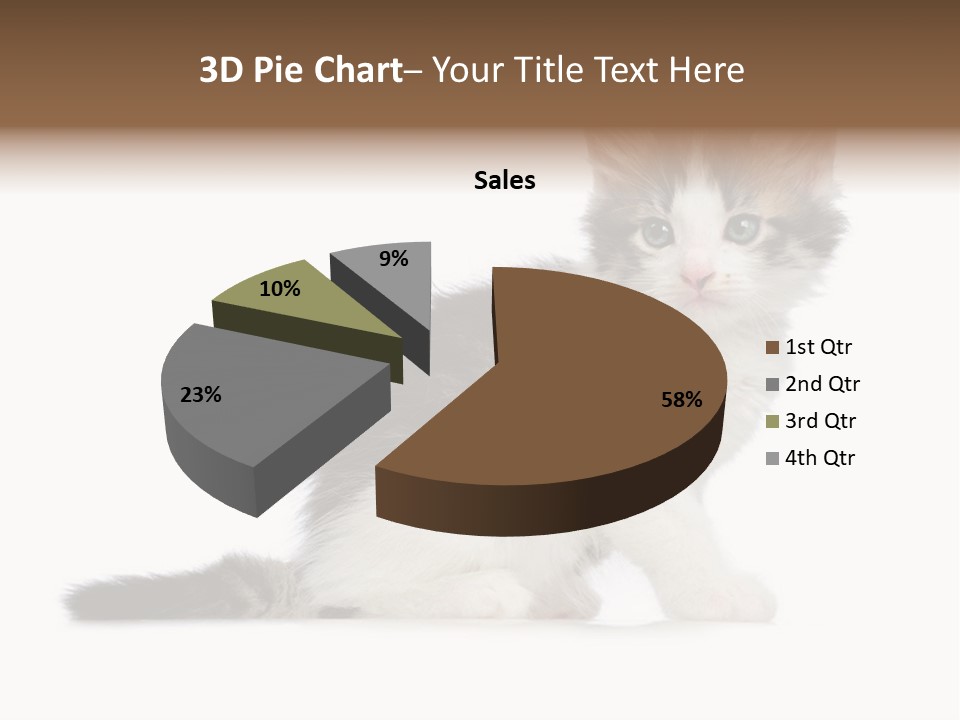 Shorthair Loving Sadness PowerPoint Template