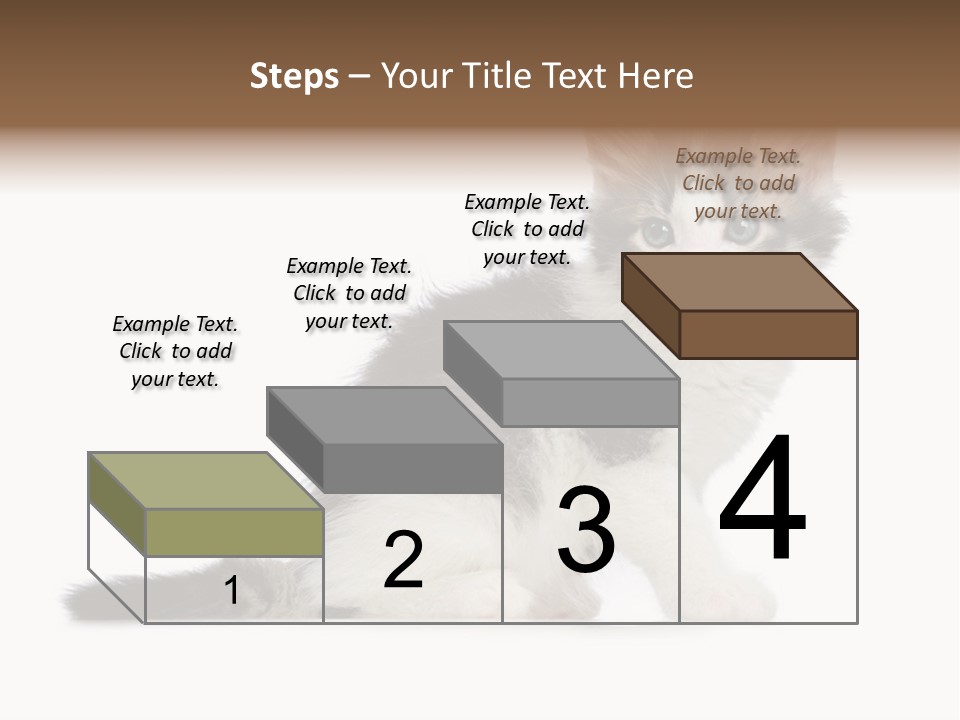 Shorthair Loving Sadness PowerPoint Template