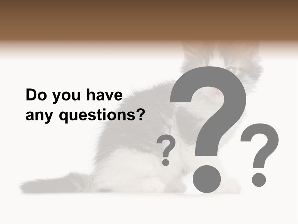 Shorthair Loving Sadness PowerPoint Template