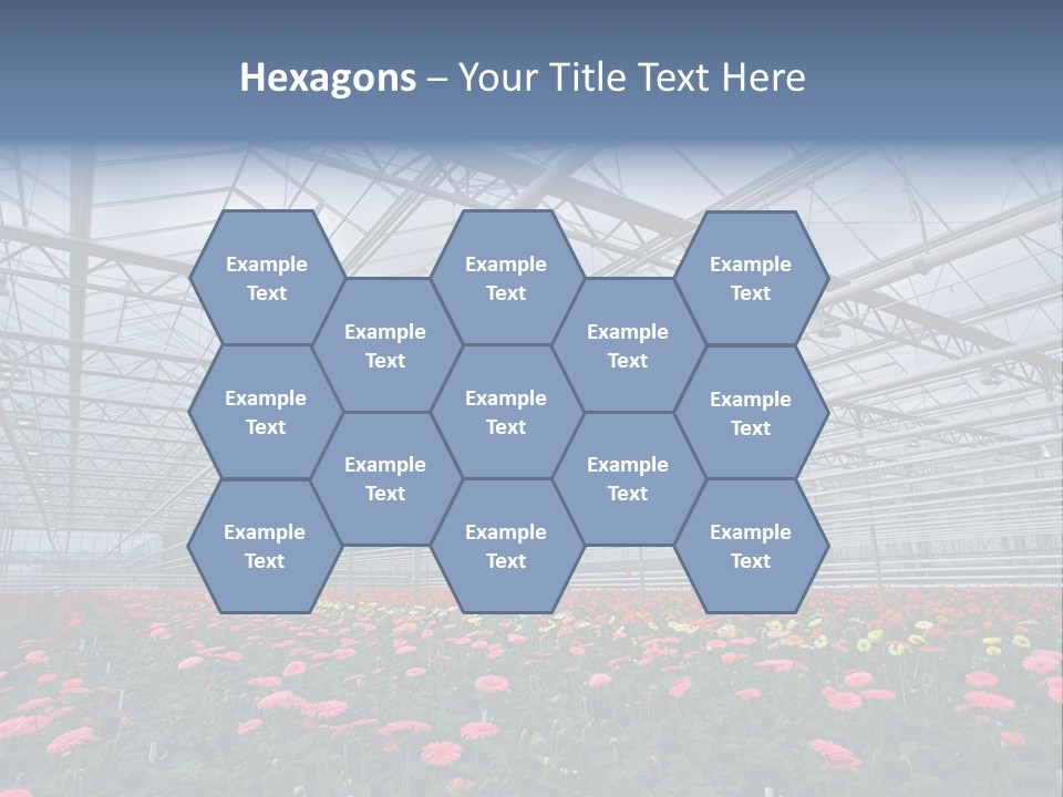 Modern Farm Growing PowerPoint Template