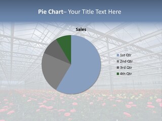 Modern Farm Growing PowerPoint Template