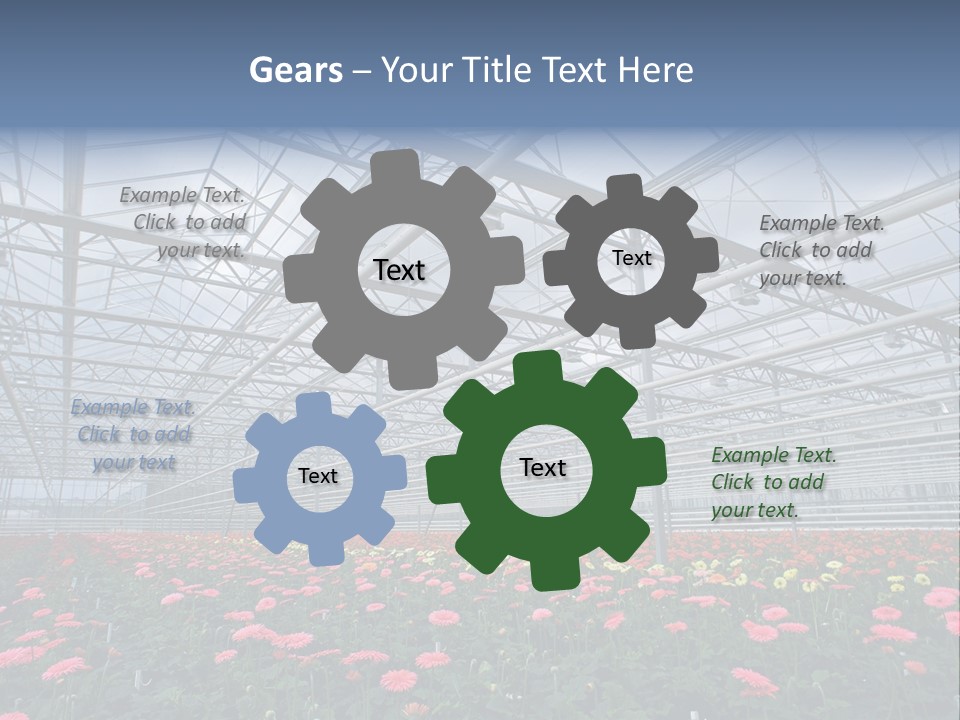 Modern Farm Growing PowerPoint Template