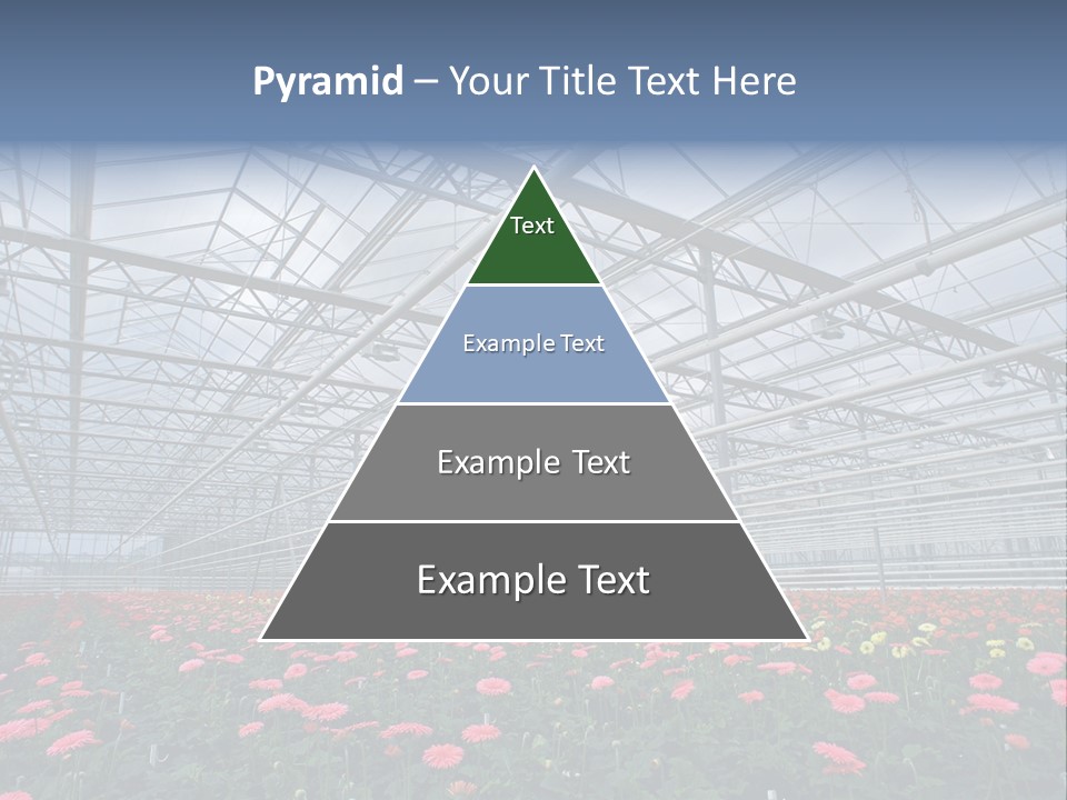 Modern Farm Growing PowerPoint Template