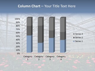 Modern Farm Growing PowerPoint Template