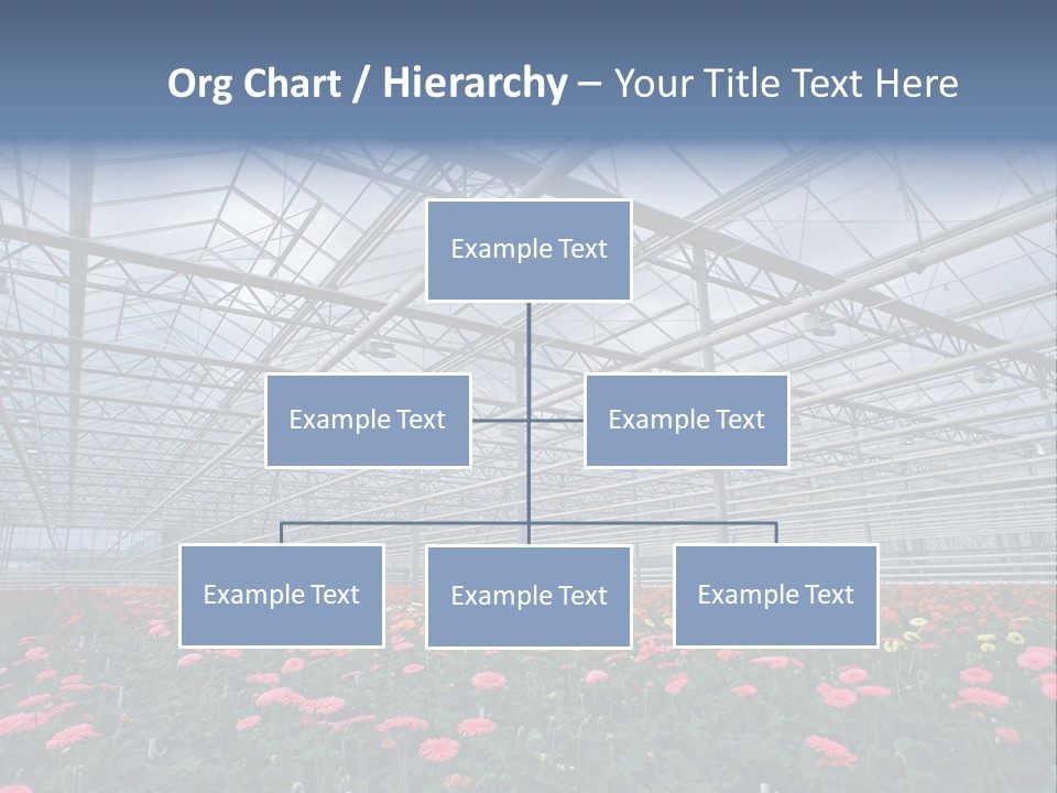 Modern Farm Growing PowerPoint Template