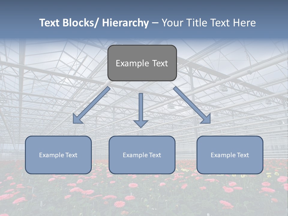 Modern Farm Growing PowerPoint Template