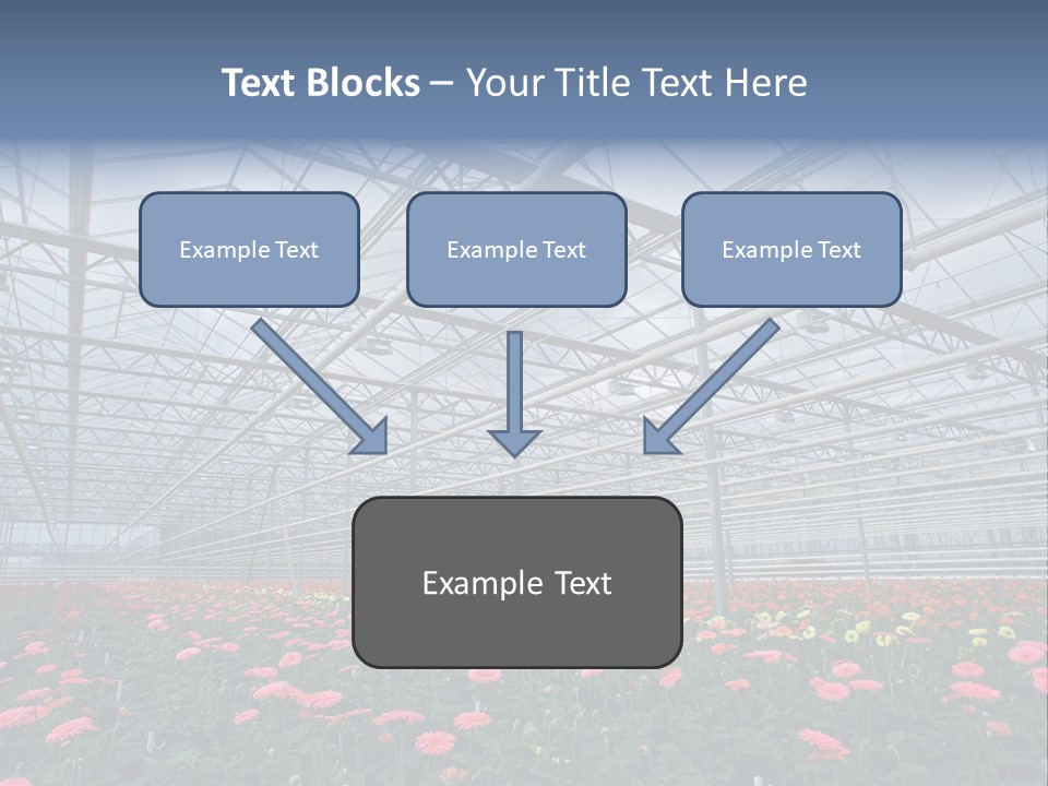 Modern Farm Growing PowerPoint Template
