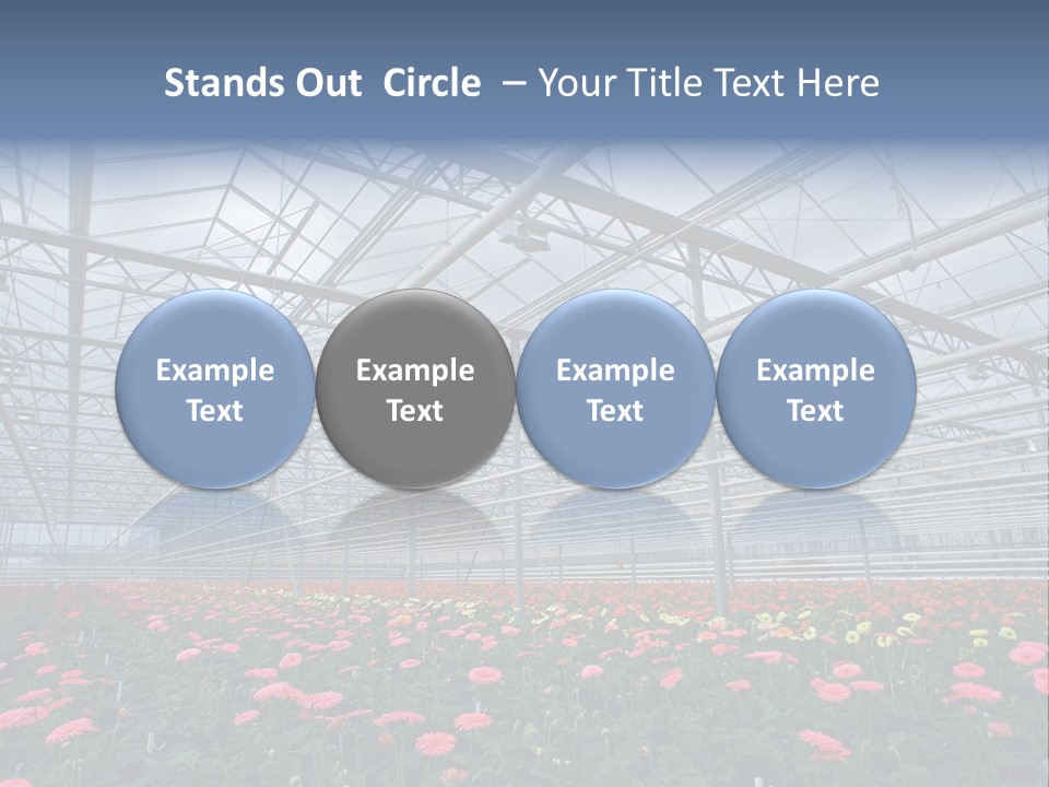 Modern Farm Growing PowerPoint Template