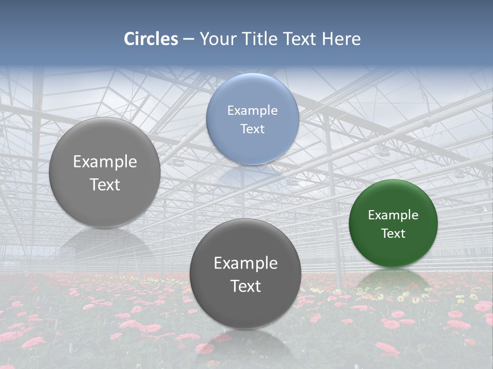 Modern Farm Growing PowerPoint Template