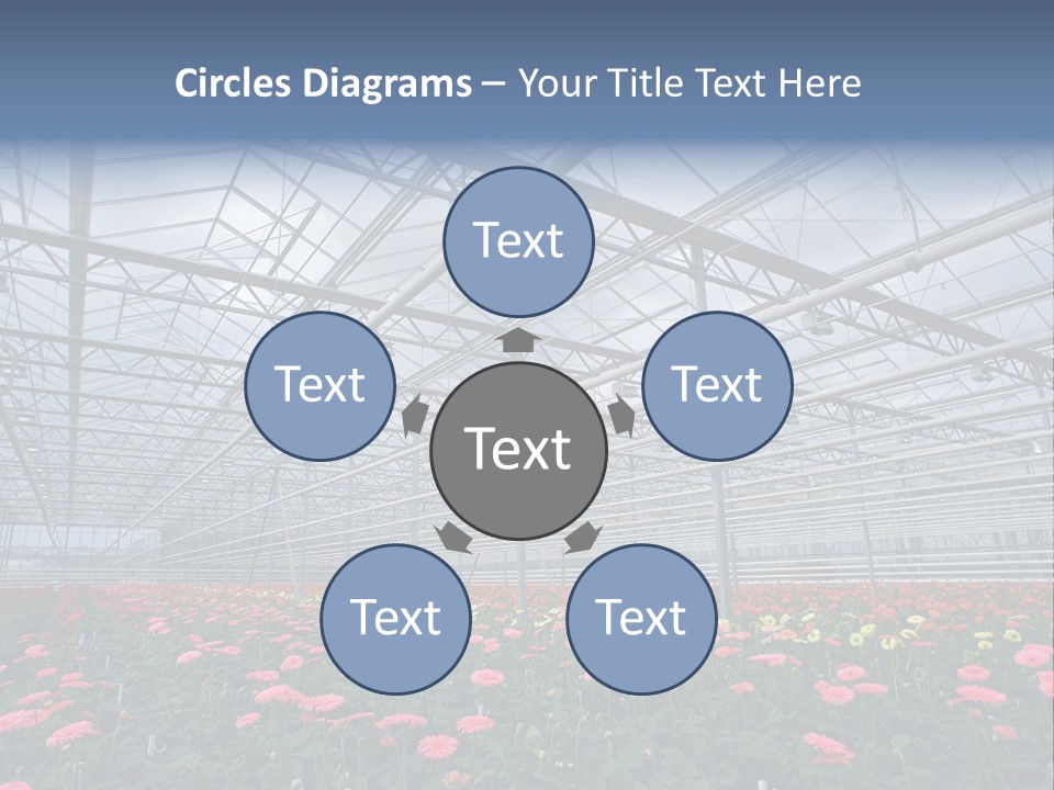 Modern Farm Growing PowerPoint Template