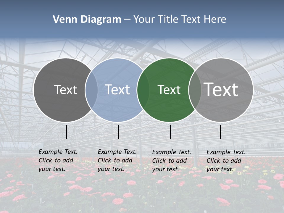Modern Farm Growing PowerPoint Template