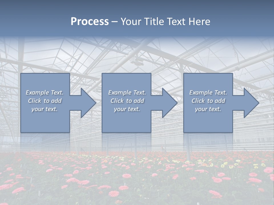 Modern Farm Growing PowerPoint Template